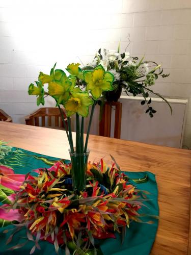 Daffodil’s